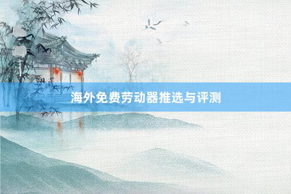海外免费劳动器推选与评测