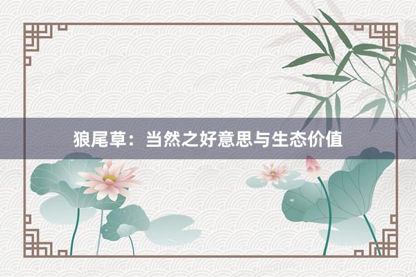 狼尾草：当然之好意思与生态价值