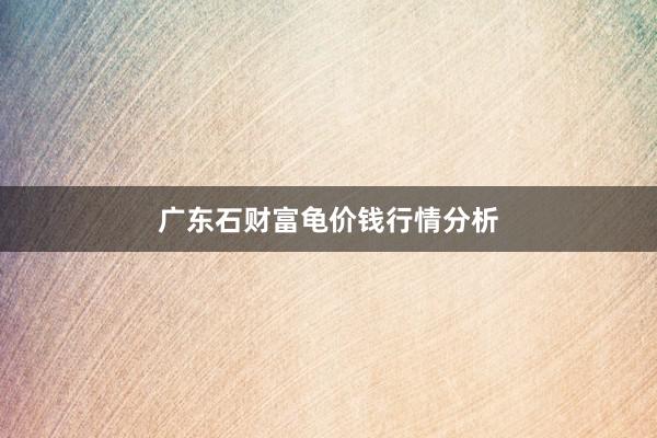 广东石财富龟价钱行情分析