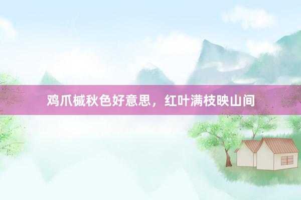 鸡爪槭秋色好意思，红叶满枝映山间