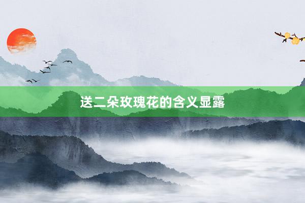送二朵玫瑰花的含义显露
